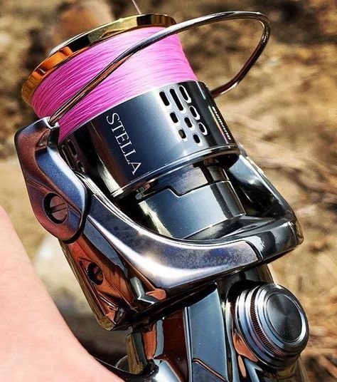 SpinReels.pro fishing service on Instagram: “SHIMANO 18 STELLA C2000S (FJ) 🎣  #18stella #stella #spinningreel #saltwaterfishing #fishingreel #shimanostella #seafishing #spinreels…” Fishing Tips, Fishing, Fish, On Instagram, Instagram