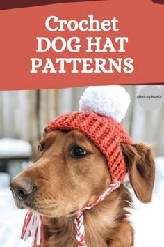 Crochet Dog Hat Free Pattern Easy, Crochet Hats For Large Dogs, Crochet Patterns Dog Hat, Easy Crochet Dog Hat, Crochet Dinosaur Hat For Dog, Hats For Dogs Crochet Free Pattern, Crochet Items For Dogs, Dog Crochet Hat Pattern, Dog Crochet Hats Free Pattern