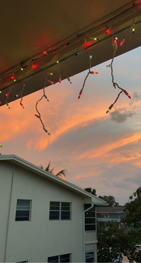 Christmas In Florida Aesthetic, Aussie Summer Christmas, Christmas Aesthetic Australia, Aussie Christmas Aesthetic, Summer Christmas Aesthetic, Sydney Christmas, Holiday Florida, Christmas In Summer, Christmas In Florida