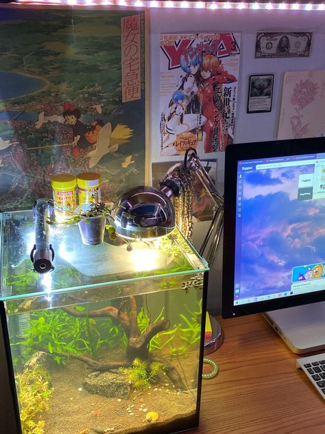 Apartment Tricks, Plants Anime, Room Aquarium, Aquarium Room, Cool Fish Tank Decorations, Rooms Apartment, Small Aquarium, Fish Tank Terrarium, Jellyfish Light