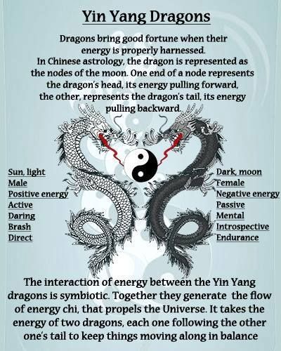 Dragon Magick Witches, Dragon Spirit Guide, Dragon Knowledge, Spiritual Circle, Dragon Magick, Yin Yang Dragons, Dragon Witch, Dragon Meaning, Yin Yang Dragon