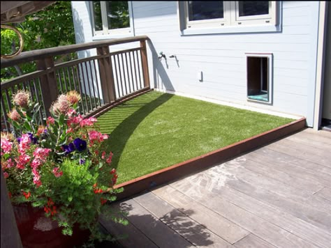 dog run with potty area Pet Patio, Porch Potty, Dog Potty Area, Dog Jumping, Dog Run, Dog Spaces, Dog Yard, Dog Potty, Dog Area