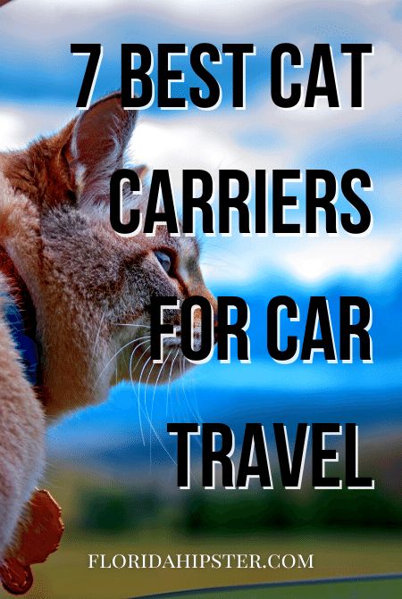 What’s the BEST Cat Carrier for Long Distance Car Travel? These 7 Will Help You Decide! - Florida Hipster Cat In Car, How To Travel With A Cat, How To Travel With A Cat In A Car, Cat Travel Tips, Cat Camping, Travel With Cat, Cat Travel Accessories, Cat Carriers, Travel Cat