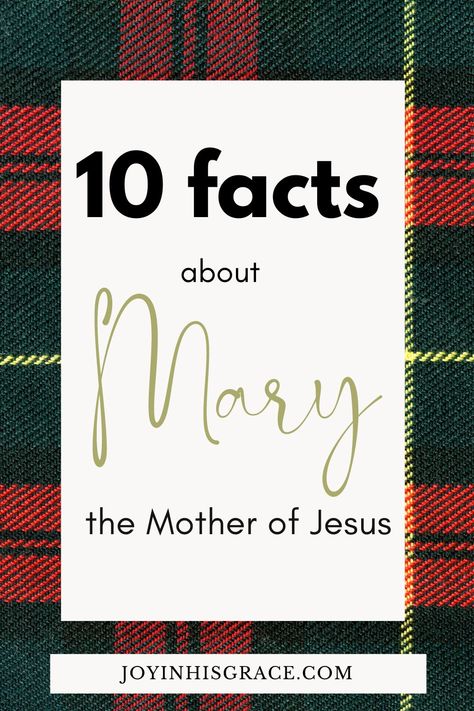 Mary Did You Know Devotional, Mary Did You Know, Mary In The Bible, Christmas Devotions, Christmas Fun Facts, Mothers In The Bible, Mary The Mother Of Jesus, Jesus Facts, Mary Jesus Mother