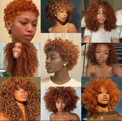 Afro Hair Dye, Dyed Curly Hair, Red Curly Hair, Goddess Braids Hairstyles, Quick Natural Hair Styles, Ginger Hair Color, Colored Curly Hair, Pelo Afro, Natural Curls Hairstyles