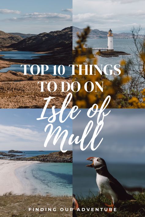 The 10 best things to do on the Isle of Mull — Finding Our Adventure Isle Of Mull Scotland, Scotland Food, Scotland Culture, Isle Of Iona, Isle Of Bute, Isle Of Mull, Wild Camp, Travel Scotland, Isle Of Arran