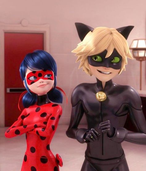 Catnoir And Ladybug, Adrian And Marinette, Marinette And Adrien, Miraculous Characters, Miraculous Ladybug Movie, Miraculous Ladybug Fan Art, Miraculous Ladybug Funny, Miraculous Ladybug Anime, Kids Tv