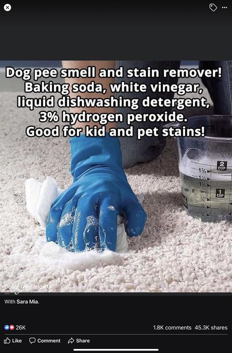 Dog Pee Smell, Pee Smell, Homemaking Tips, Easy Cleaning Hacks, Diy Cleaning Solution, Homemade Cleaning Solutions, Diy Cleaning Hacks, Dog Pee, Diy Home Cleaning