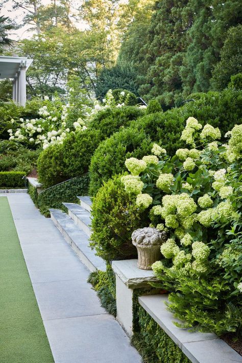 Boxwood Landscaping, Patina Farm, Boxwood Garden, Courtyard Ideas, Small Courtyard, Dancing Drawings, House Vibes, Yard Landscape, Garden Wallpaper