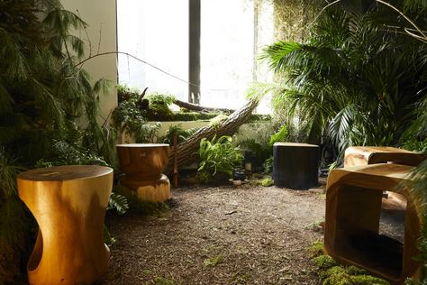 Indoor Forest Bathing in a "Forest Room" is Now A Thing - Nature Connection Guide Indoor Forest Home, Indoor Forest Decor, Indoor Forest, Forest Therapy, Forest Homes, Forest Cafe, Forest Room, Nature Connection, Forest Sounds