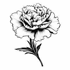 Carnation Flower Heart Tattoo, Realistic Carnation Tattoo, Carnation Tattoo Black And White, Black And Grey Carnation Tattoo, Carnation And Sunflower Tattoo, Carnation Tattoo Design, Carnation Flower Tattoo Design, Carnations Tattoo, Carnation Flower Drawing