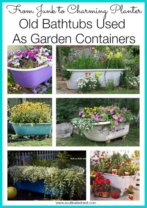 Time to dream about your garden for next year. How about upcycling an old bathtub as a container? Here are some wonderful ideas for using an old bathtub as a charming container in your cottage garden. Old Bathtubs, Garden Bathtub, Old Bathtub, Vegetable Gardens, Garden Tub, Garden Help, Garden Containers, Love Garden, Bathtubs