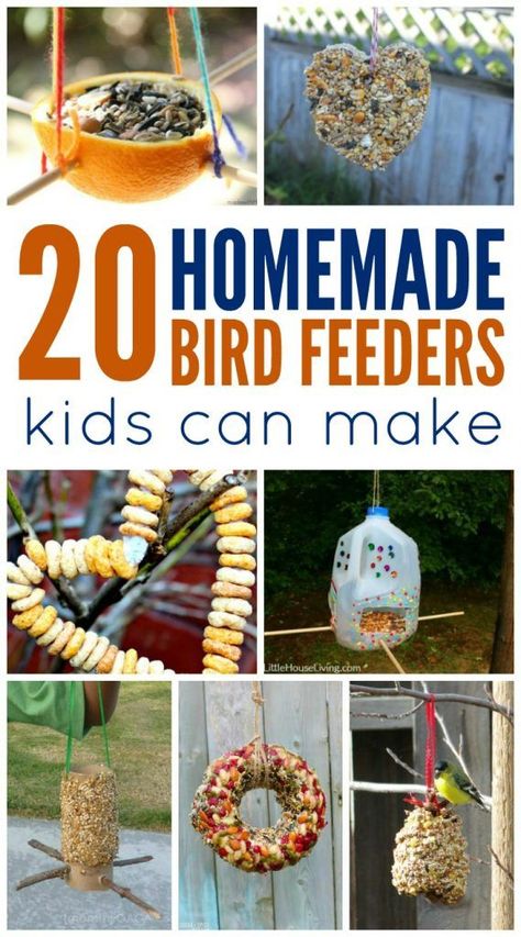 Bird Feeders For Kids, Bird Feeders For Kids To Make, Bird Feeder Craft, Easy Bird, Homemade Bird Feeders, Diy Bird Feeder, Diy Birds, Backyard Birds, Nature Crafts