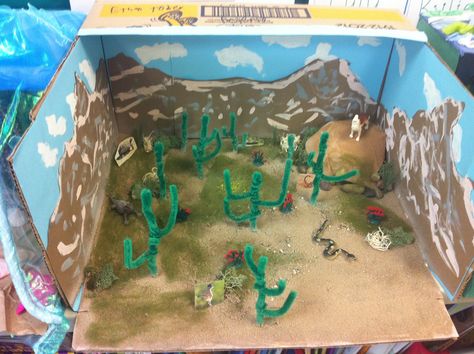 Science bioramas - biome diorama project Ecosystem Diorama, Biome In A Box Project, Savanna Diorama Project, Desert Biome Diorama, Clay Modelling For Kids, Rattlesnake Diorama, Sonoran Desert Diorama, Ecosystems Diorama, Biomes Project