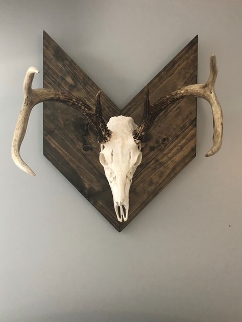 Rustic European Mount European Mount Display Ideas, Deer Skull Decor Living Room, European Deer Mount Ideas Display, Euro Mount, Euro Mount Ideas, European Deer Mount Fireplace, Deer Mounts In Living Room Farmhouse, Euro Skull Mount Ideas, European Deer Mount Ideas