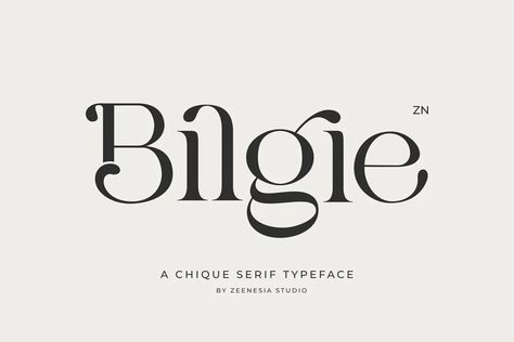 Bilgie Font - Dafont Free Elegant Fonts Free, Beautiful Serif Fonts, Dafont Fonts, Font Love, Modern Fonts Free, Free Commercial Fonts, Minimalist Font, Elegant Serif Fonts, Stylish Text