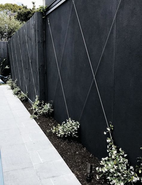 Jasmine Climber, Small Garden Design Ideas, Design Backyard, Black Fence, Plants Growing, Garden Design Ideas, Have Inspiration, Small Garden Design, Small Gardens