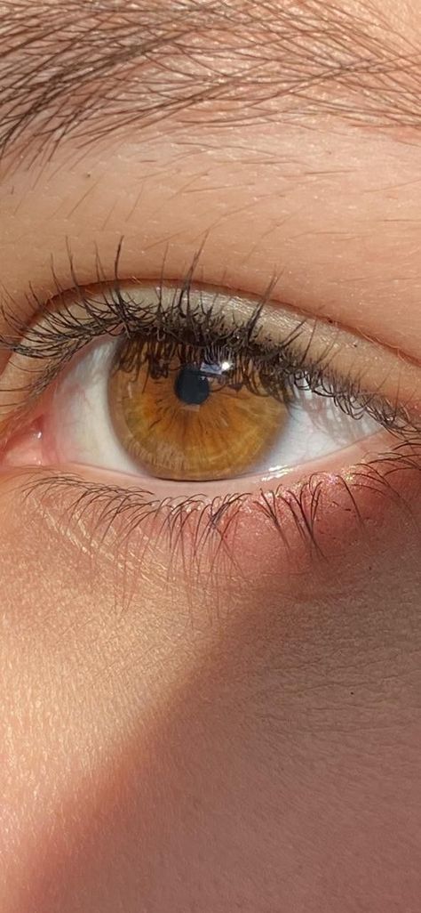 Cognac Eyes Color, Hazel Amber Eyes, Pale Brown Eyes, Hazel Eyes Women, Cognac Brown Eyes, Golden Amber Eyes, Hazel Brown Eyes Aesthetic, Brown Eyes Aesthetic Girl, Honey Eyes Aesthetic