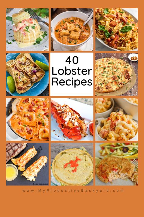 Grilled Lobster Recipes, Cook Lobster, Bisque Soup Recipes, Lobster Bisque Soup, Seafood Dish Recipes, Lobster Dishes, Lobster Recipes Tail, Delicious Seafood Recipes, How To Cook Lobster