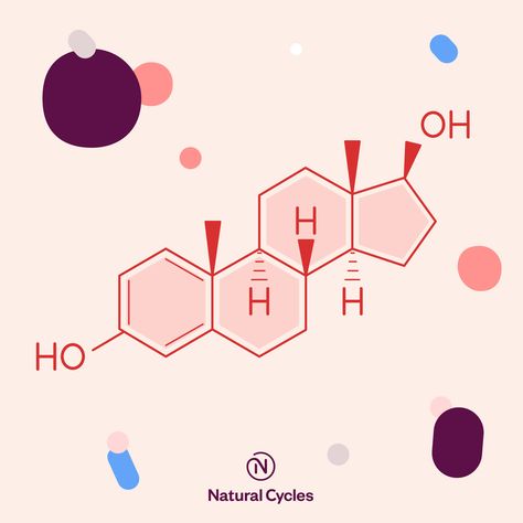 Hormones are some of the biological basics behind the menstrual cycle. Check out our blog CycleMatters to learn about how estrogen and progesterone affect your cycle! Estrogen And Progesterone, Natural Cycles, Vegan Probiotics, The Menstrual Cycle, Female Health, Baby Feeding Schedule, Too Much Estrogen, Estrogen Dominance, Health Dinner