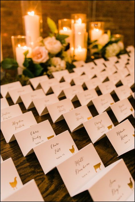 Seating Cards Table, Wedding Seat Card Ideas, Wedding Dinner Place Cards, Seating Chart Wedding Ideas Place Cards, Wedding Plated Dinner Place Cards, Seat Cards For Wedding, Wedding Reception Place Cards, Wedding Seat Cards, Seating Place Cards Wedding