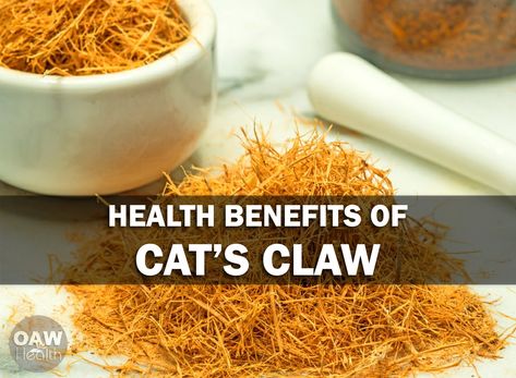 Cats Claw, Dna Repair, Cat Claws, Chronic Disease, Natural Herbs, Medicinal Herbs, Natural Medicine, Herbal Remedies, Holistic Health