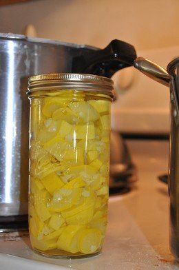 Canning Summer Squash, Canning Yellow Squash, Canning Squash, Canned Veggies, Canned Squash, Squash And Zucchini, Food Canning, Easy Canning, Canning 101