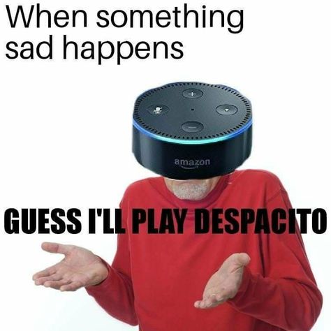 Alexa Play Despacito, Quality Memes, Me Too Meme, Pewdiepie, Awkward Moments, Know Your Meme, What’s Going On, Funny Pins, Best Memes