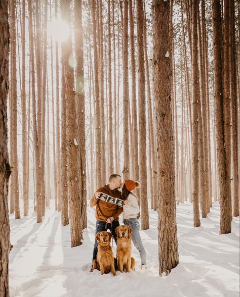 Snow Baby Announcement Ideas, Snowy Baby Announcement, Gender Reveal In The Snow, Winter Snow Family Photos, Winter Baby Announcement Photoshoot, Winter Gender Reveal Photoshoot, Winter Announcement Pregnancy, Baby Announcement Photoshoot Winter, Baby Announcement Photoshoot With Dogs