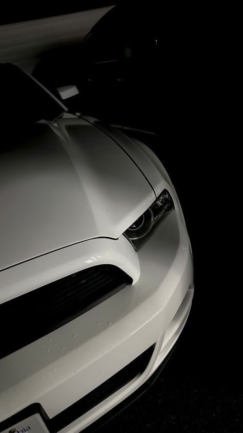 Ford Mustang 2014, Mustang Gtr, Mustang 2014, 2013 Mustang, 2014 Mustang, Mustang Wallpaper, 2010 Mustang, Mustang Boss 302, Ford Mustang Car