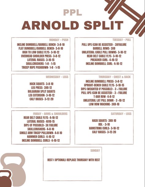 6 Day Gym Workout Schedule, Ppl Arnold Split, Ppl X Arnold Split, 6 Day Workout Split, Gym Workout Schedule, Arnold Workout, Mass Workout, Training Split, Weight Training Schedule