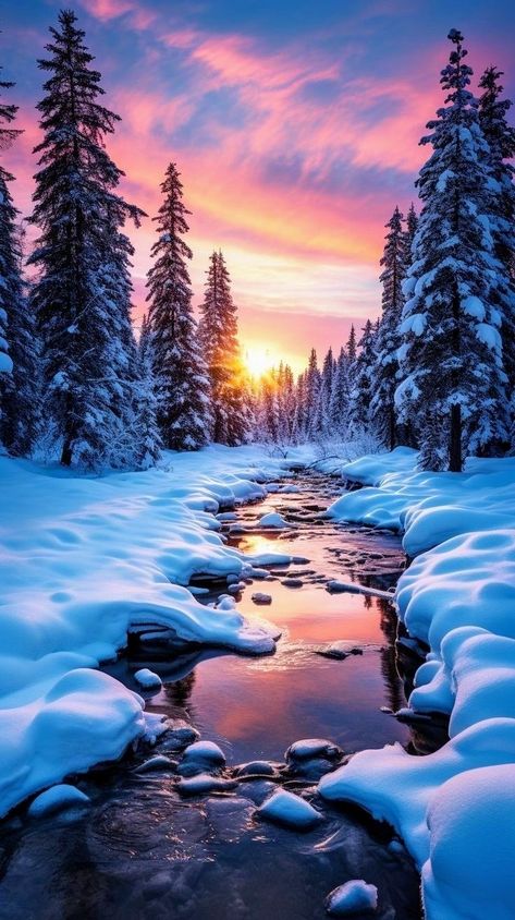 Winter Sunset Photography, Winter Sunset Wallpaper, Winter Scenes Photography, Snow Scenes Winter Landscape, Winter Scenery Pictures, Winter Landscape Photography, Peaceful Music, Calm Music, Beautiful Winter Scenes