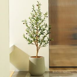 Walmart | Save Money. Live better. Olive Tree Indoor, Plant Decor Living Room, Artificial Olive Tree, Olive Plant, Tree Indoor, Faux Olive Tree, Fake Plants Decor, Fake Trees, Wood Trunk