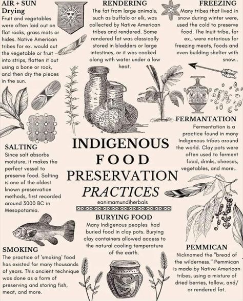 Indigenous Food, Native American Knowledge, Ancestral Nutrition, Native American Food, Preserve Food, Native American Wisdom, Indigenous Peoples Day, Instagram Tools, Indigenous Tribes