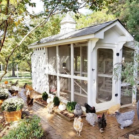 My dream chicken coop! @kelliboydphotography”  Farmlife Chicken Coop Extension, White Chicken Coop, Shed Inspiration, Urban Chicken Farming, Happy Day Farm, Cute Chicken Coops, Portable Chicken Coop, Farm Chicken, Coop Design