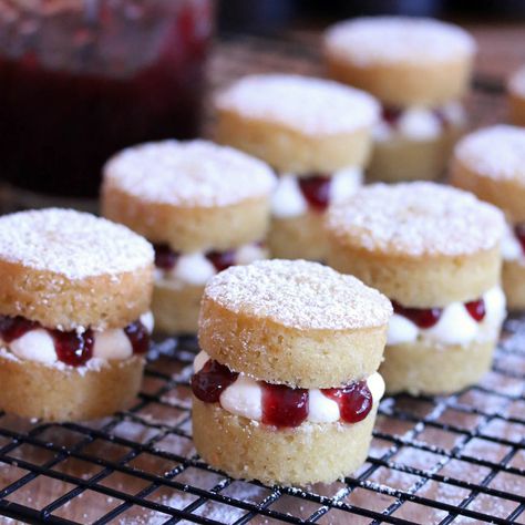 Traditional British Victoria sponge cake in miniature form. Deliciously soft, rich, and perfect for popping in your mouth over and over again! Mini Victoria Sponge Cakes, Mini Victoria Sponge, Victoria Sponge Cake, Sponge Cakes, Sponge Cake Recipes, Tea Party Food, Victoria Sponge, British Baking, Coffee Cakes