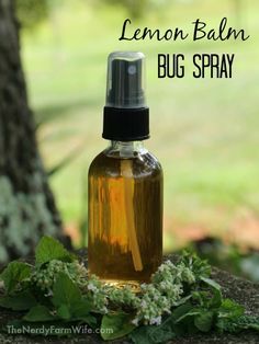 Lemon Balm Bug Spray, Lemon Balm Soap, Homemade Bug Spray Recipe, Herbal Crafts, Natural Apothecary, Lemon Balm Recipes, Herbs Medicine, Homemade Bug Spray, Homemade Cleaner