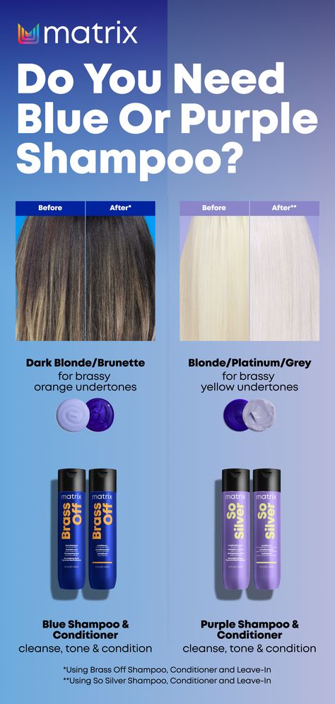 Blue Shampoo Before And After, Blue Shampoo Before And After Brunettes, Blonde Grey Hair, Blue Or Purple Shampoo, Best Purple Shampoo Blondes, Matrix Purple Hair Color, Blonde Brunette Hair, Olaplex Purple Shampoo Before And After, Hair Toning