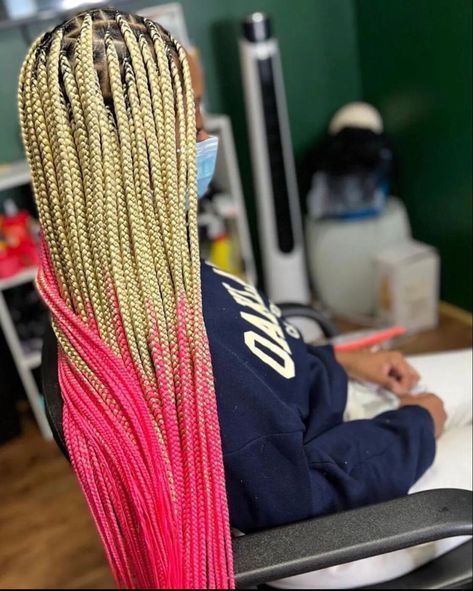 Braided Hairstyles Two Colors, Color Block Braids, Color 30 And Pink Braids, Braids Color Combination Ideas, Box Braids With Pink Highlights, Two Colour Braids, Colors Box Braids, Brown And Pink Mixed Braids, Color Combos For Braids