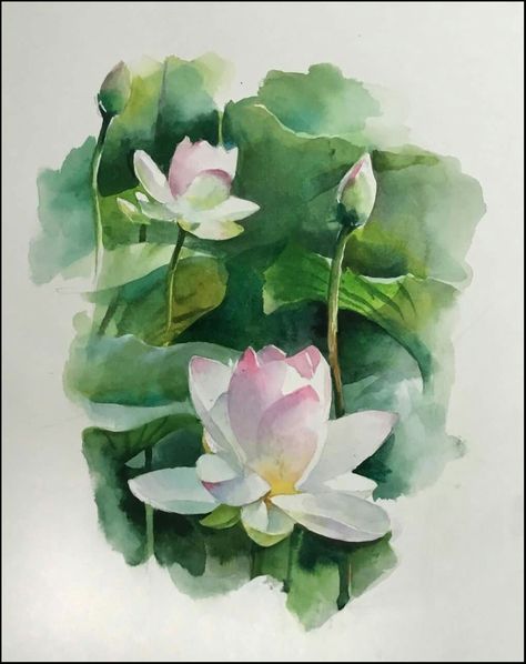 Sketch Rose, Lotus Artwork, Watercolor Magnolia, Lotus Drawing, Rose Line Art, Watercolor Lotus, Canvas Art Painting Acrylic, Mandala Lotus, Lotus Flower Pictures