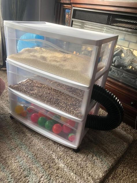 Ferret Room Ideas Diy, Free Roam Ferret Setup, Ferret Tunnel Diy, Ferret Room Play Areas, Diy Ferret Cage Accessories, Ferret Cage Ideas Homemade, Rat Maze Diy, Dollar Store Rat Cage Accessories, Rat Enclosure Diy