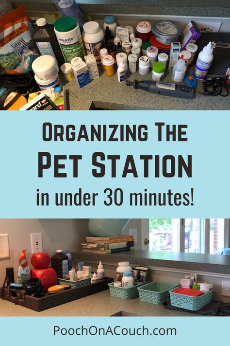 Storage For Pet Supplies, Dog Collar Charging Station, Dog Organization Station Small Spaces, Dog Supplies Organization, Pet Food Station, Dog Station, Pet Supplies Organization, Pet Station, Dog Organization