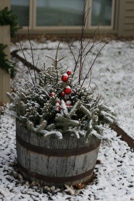 Whiskey Barrel Planter Christmas Decor, Whiskey Barrel Christmas Ideas, Winter Whiskey Barrel Planter, Christmas Whiskey Barrel, Whiskey Barrel Christmas Decor, Winter Pots, Whiskey Barrel Planter, Porch Pots, Barrel Ideas