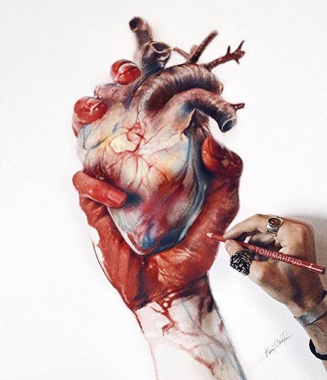 Toni Mahfud, Heart Painting, Medical Art, Human Heart, Big Project, Realistic Art, Hand Art, Anatomy Art, Instagram Art