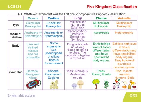 Five Kingdom Classification, Grade 9 Science, Taxonomy Biology, Kingdom Classification, Five Kingdoms, Science Knowledge, High School Reading, School Biology, Plant Kingdom