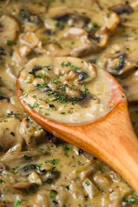 White wine mushroom sauce with cream - Here To Cook Asagio Cheese Recipe, Wine Pasta Sauce, White Wine Pasta Sauce, White Wine Sauce Recipes, Mushroom Sauce Recipe, Mushroom Cream Sauces, Creamy Mushroom Sauce, Marinade Sauce, Wine Sauce