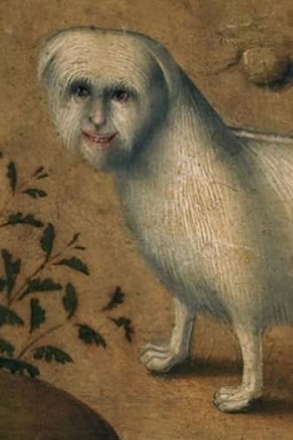 Who's dog is it or who is it anyway? Dog With Human Face, Cat With Human Face, Human Face Drawing, Funny Medieval, Ugly Animals, Medieval Drawings, Medieval Artwork, Evil Cat, Ugly Cat