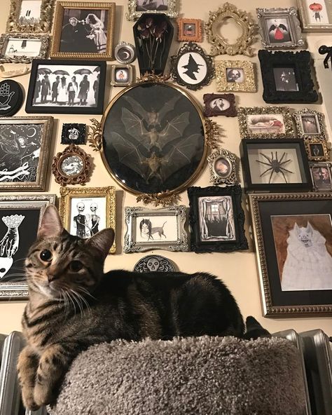 2,531 Likes, 24 Comments - Chandra GoreWitch ✨ (@lifeisapigsty) on Instagram: “My sweet boy ” Gothic House Decor, Dark Home Decor, Goth Home, Goth Home Decor, Dark Home, Goth Decor, Concept Home, Witchy Decor, Décor Boho