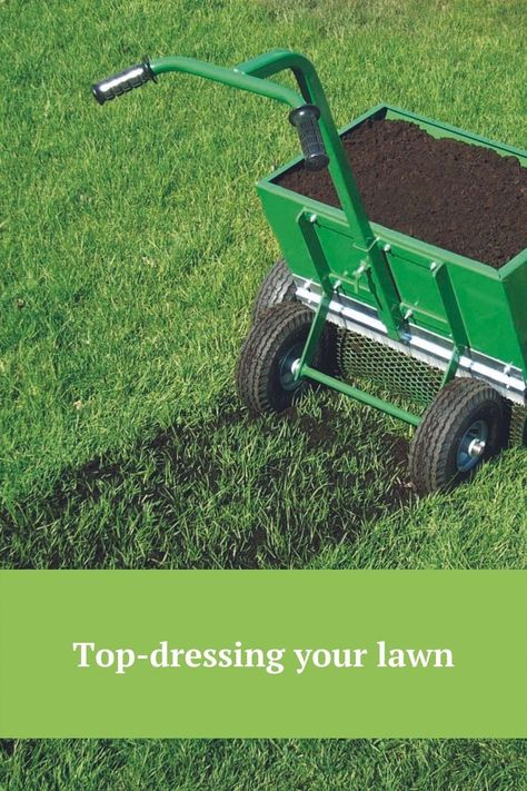 Fall Lawn Maintenance, Lawn Care Diy, Overseeding Lawn, Lawn Renovation, Lawn Repair, Lawn Mower Repair, Garden Prepping, Landscaping Equipment, Small Yard Landscaping