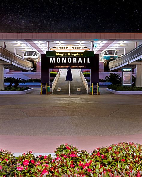 MONORAIL: Magic Kingdom | The monorail station at the ticket… | Flickr Magic Kingdom, Disney Parks, Walt Disney World, Walt Disney, Disney World, Disney